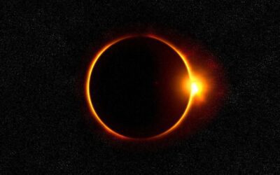 Enneagramscope: June 22nd to June 29th