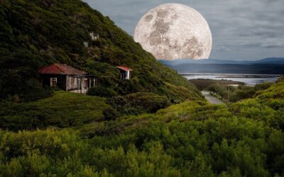 Enneagramscope: July 6th to July 13th