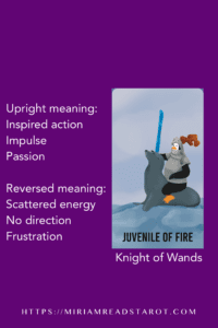 knight of wands tarot minor arcana